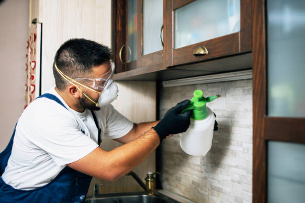 Best Flea Control Services  in Weston Mills, NY