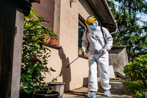 Best Mosquito Control Services  in Weston Mills, NY