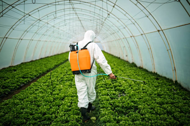 Best Pest Control Near Me in Weston Mills, NY