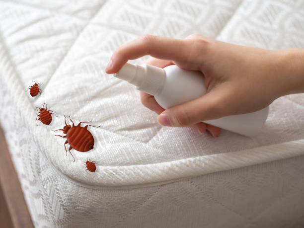 Best Pest Prevention Services  in Weston Mills, NY
