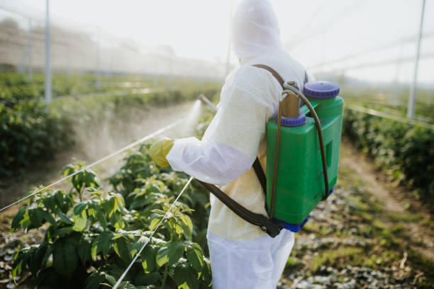Professional Pest Control in Weston Mills, NY